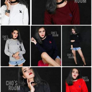 เสื้อยืด แขนยาว ลายนก cc-oo