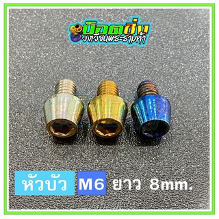 น็อตสแตนเลส หัวบัว ขนาดเกลียว m6 ยาว 8 mm.