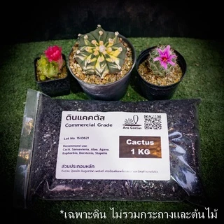 (ถุง1โล)🌵ดินปลูกแคคตัสราคาส่ง 20 บาท พร้อมปลูก ดินปลูกกระบองเพชร ระบายน้ำดี มีกันเพลี้ย รา 1kg 1กก.