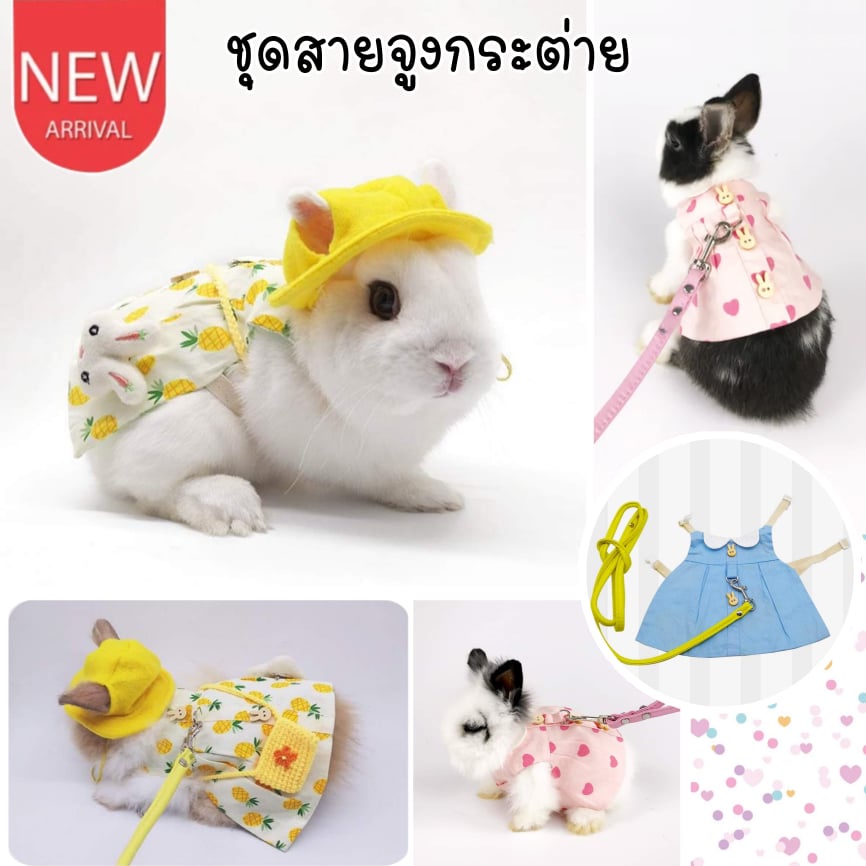 CatHoliday ชุดสายจูงกระต่าย พร้อมหมวกและกระเป๋า