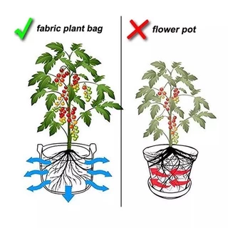 Non-woven fabric Grow bag กระถางผ้า สีดำขอบเขียว กระถางผ้าปลูกต้นไม้ ถุงปลูกต้นไม้ 1/2/3/5/7/10/12/15/20/30Gallon