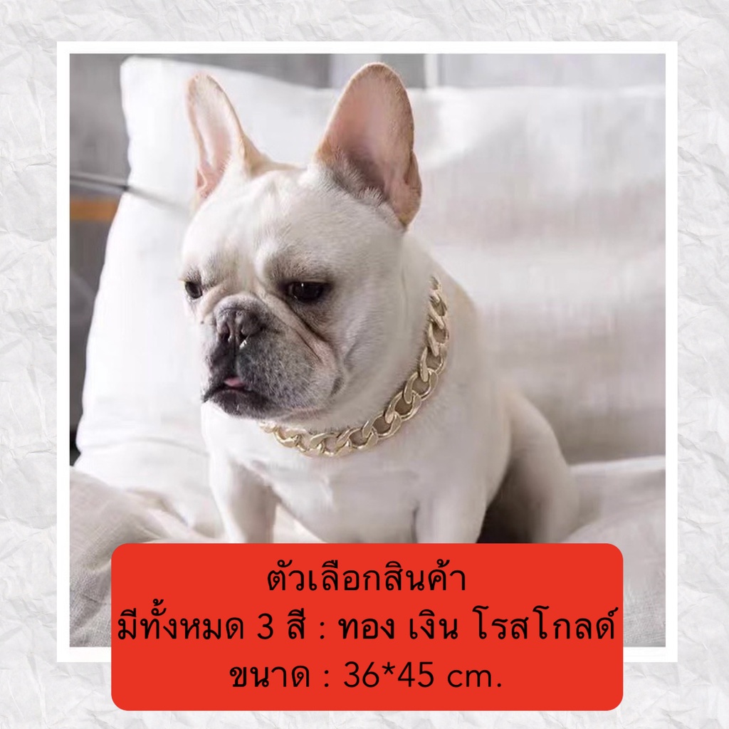 MG-010 สร้อยคอแฟชั่นสำหรับน้องหมา น้องแมว เครื่องประดับสุดน่ารัก เพิ่มความโดดเด่นให้น้องๆ ในราคาสบายกระเป๋า