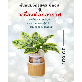 เครื่องฟอกอากาศ 2 in 1 ((แถมแผ่นกรอง!!) พร้อมต้นลิ้นมังกรแคระปลอม