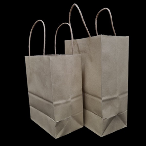 (1 ใบ) ถุงกระดาษพร้อมหูหิ้วแบบเกลียว