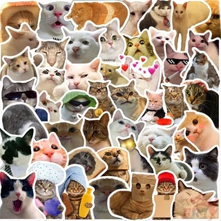50ชิ้น/เซ็ต ❉ Q สติ๊กเกอร์อิโมจิแมวคนดังทางอินเทอร์เน็ตตลก 02 ❉ DIY แฟชั่นสติ๊กเกอร์ Doodle กันน้ํา