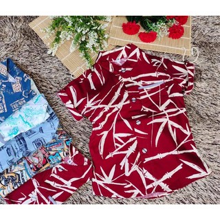 เสื้อเชิ้ตเด็กคอปกแขนสั้นรายวินเทส
