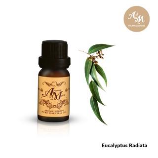 Aroma&amp;More  Eucalyptus Radiata Essential Oil 100% น้ำมันหอมระเหยยูตาลิปตัส100% Australia 10/30ML