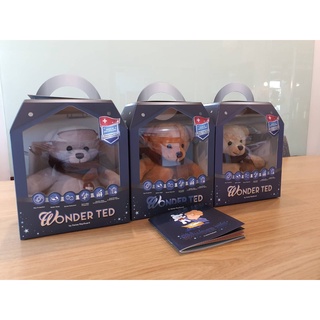 ตุ๊กตาหมีป้องกันคลื่นแม่เหล็กไฟฟ้า WONDER TED Gen.2  by RayGuard