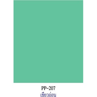 สีเขียวอ่อน  กระดาษโปสเตอร์สี 2 หน้า 20 แผ่น  PP207