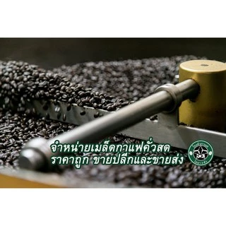 อาก๋ง สไตร์ (ระดับเข้ม+แน่น) อาราบิก้าผสมโรบัสต้าคัดพิเศษ 500 กรัม 2 ถุง