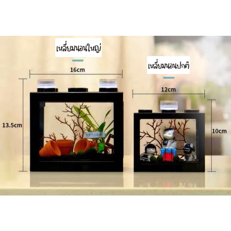 ✅พร้อมส่ง💯✅set marimo เหลี่ยมนอนใหญ่ - รูปที่ 2