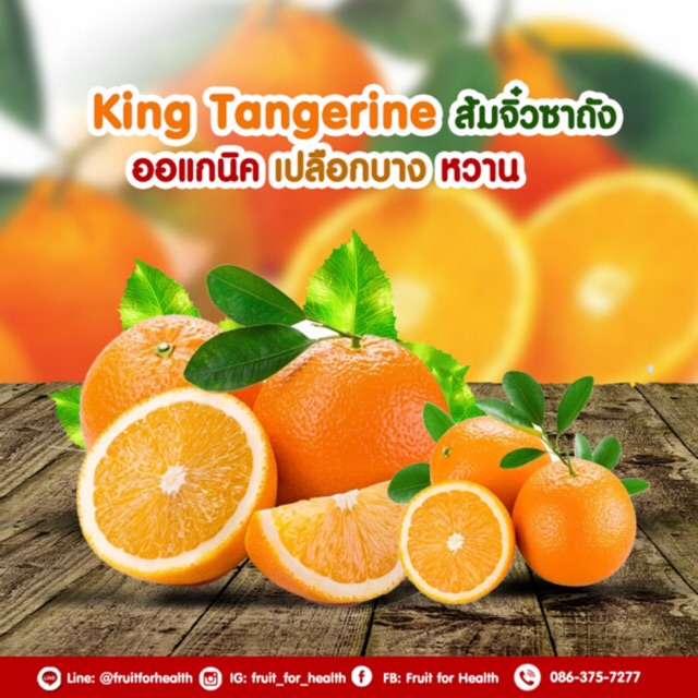 🍊ส้มซาถัง 🍃 ไร้เมล็ด หวานเจี๊ยบ | Shopee Thailand