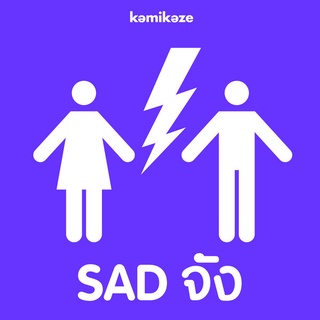 MP3 รวมศิลปิน Kamikaze อัลบั้ม Sad จัง [MP3 320KBPS] * CD-MP3 , USB-MP3*