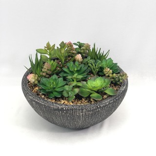 OrientalFineArt สวนจำลอง สวนถาด Succulent plant แคคตัสปลอม ในกระถางเซรามิคสำหรับประดับตกแต่ง