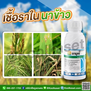 อามูเร่ 500 ซีซี กำจัดเชื้อรา เมล็ดด่าง ใบจุดสีน้ำตาล กาบใบแห้ง  ราสนิมกุ้งแห้ง ราแป้ง ราน้ำค้าง คูลเกษตร KF33