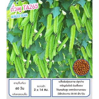 เมล็ดพันธุ์ ถั่วพู TA265 - Wing Bean ถั่วพลู ตราดอกแตง เมล็ดพันธุ์ เมล็ดผัก คุณภาพ "เพื่อนเกษตรกร"