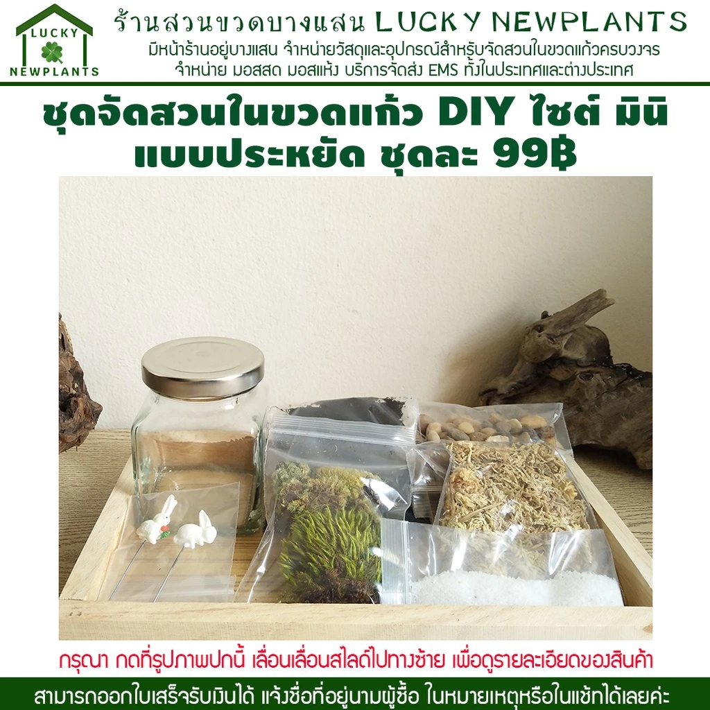 ชุดจัดสวนในขวดแก้ว DIY สวนขวด เซ็ทประหยัด 99฿ มีของพร้อมส่ง