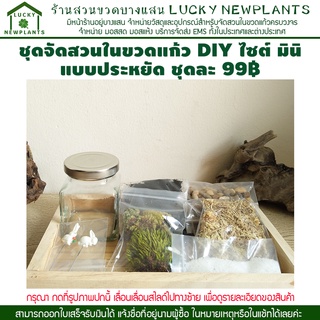 ชุดจัดสวนในขวดแก้ว DIY สวนขวดประหยัด 99฿ มีของพร้อมส่ง