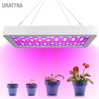 Urattna ไฟปลูกต้นไม้ Led พลังงานสูง Ac 100‐277V สีขาว สําหรับเรือนกระจก