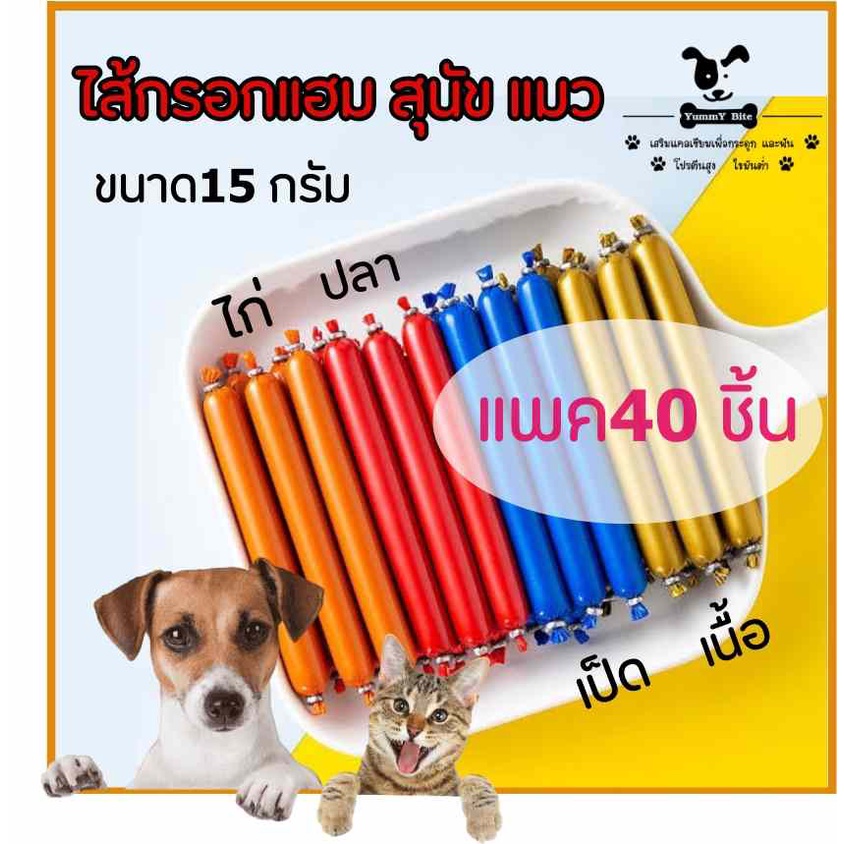 My Image 13