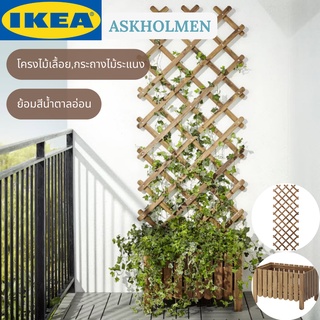 IKEA ASKHOLMEN อัสค์โฮล์มเมน โครงไม้เลื้อย กระถางไม้ระแนง  กระถางไม้ ย้อมสีน้ำตาลอ่อน