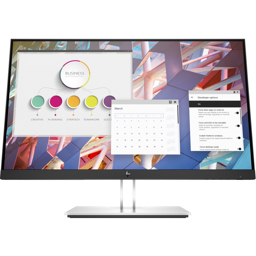 HP E24 G4 Full HD Monitor