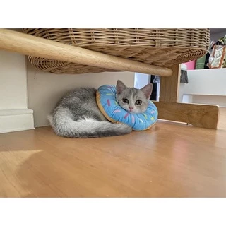 😼BHQ😼ปลอกคอกันเลีย คอลล่าแมว กันเลีย กันเกา นุ่มนิ่มน่านเลียทรงโดนัท คอลล่าโดนัท ปลอกคอ