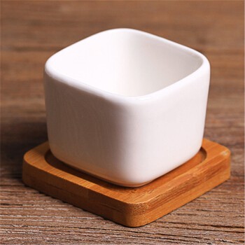 Plants Center T205 พร้อมส่ง กระถางต้นไม้เซรามิกขาวทรงสี่เหลี่ย มีถาดรองไม้ ขนาด เป็นเซรามิกเคลือบเงา ไม้อวบน้ำ ไลทอป