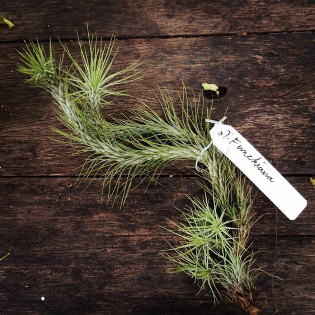 มุมมอง 4