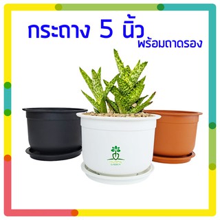 🍀 กระถางต้นไม้พลาสติก 5นิ้ว พร้อมถาดรอง🍀 กระถางกลม กระถางต้นไม้ พร้อมจานรอง กระถางต้นไม้มินิมอล