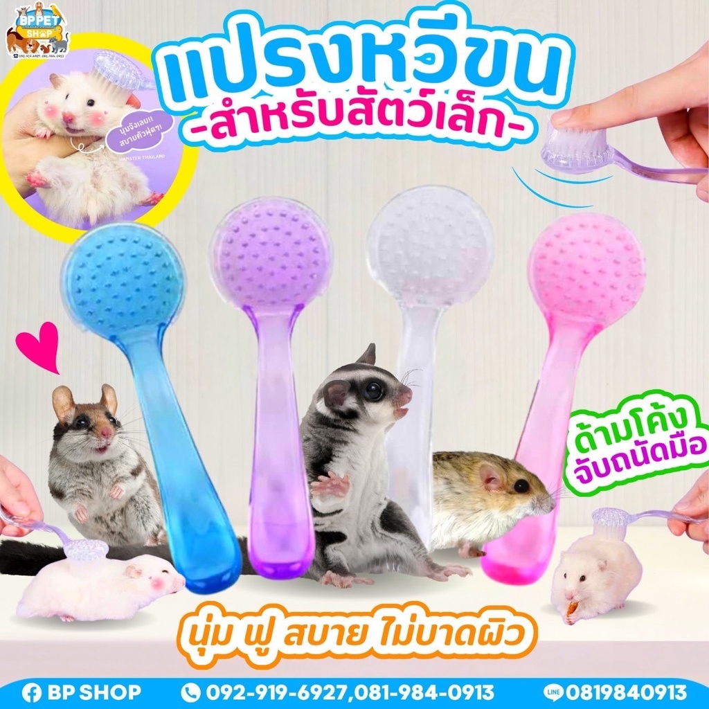 (Ratima) แปรงหวีขน สำหรับแฮมสเตอร์ทุกชนิดสำหรับสัตว์เลี้ยงตัวเล็ก หวีแฮมเตอร์ ชูก้าร์ กระรอก แปรงอาบน้ำเม่น แปรงหวีขนแฮม