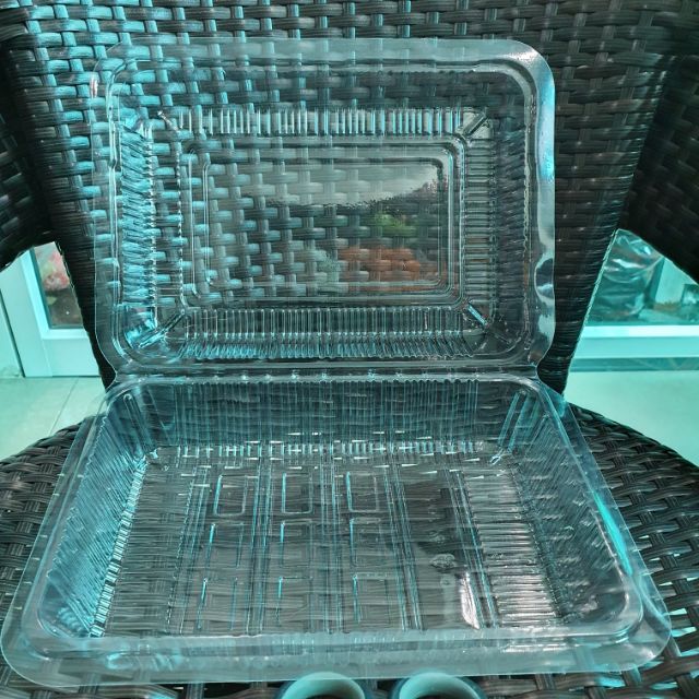 กล่องพลาสติกใส(SK-502)สำหรับใส่ ปลาเผา ปลานึ่ง เป็ดสับ (เนื้อวัสดุเป็นOPS)ไม่เป็นไอน้ำ รุ่นนี้กดล๊อก