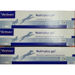 Nutri-plus gel® นิวตริ-พลัส เจล ผลิตภัณฑ์อาหารเสริมสำหรับสุนัขและแมว