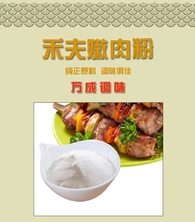 A24 ผงหมักเนื้อ ให้เนื้อนุ่มอร่อย ( 嫩肉粉 )ขนาด 230g พร้อมส่ง ผงสำหรับหมักเนื้อหมู ไก่หรือเนื้อสัตว์ต่างๆ ผง