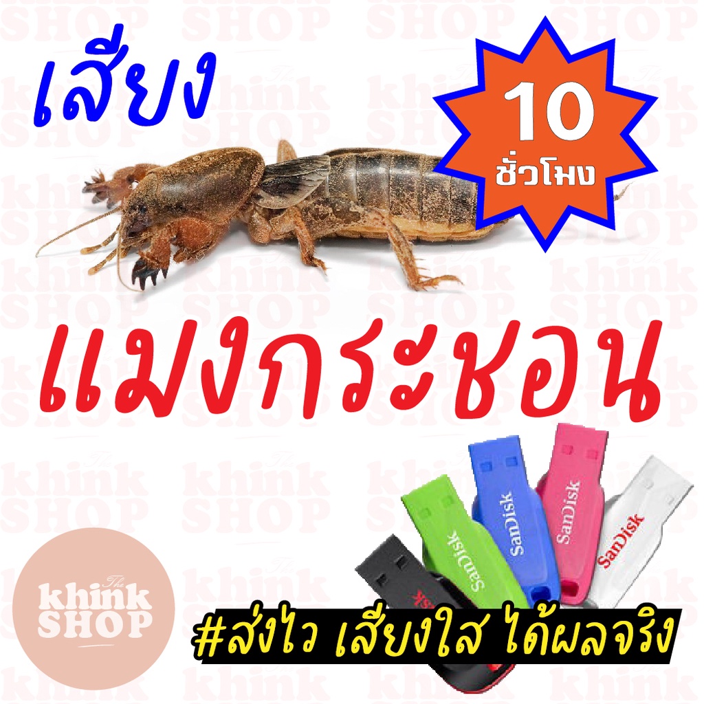เสียงต่อแมงกระชอนยาวๆ 10 ชั่วโมง จีซอน แฟลชไดรฟ์ เมม ไม่มีโฆษณาแทรก มีเก็บเงินปลายทาง