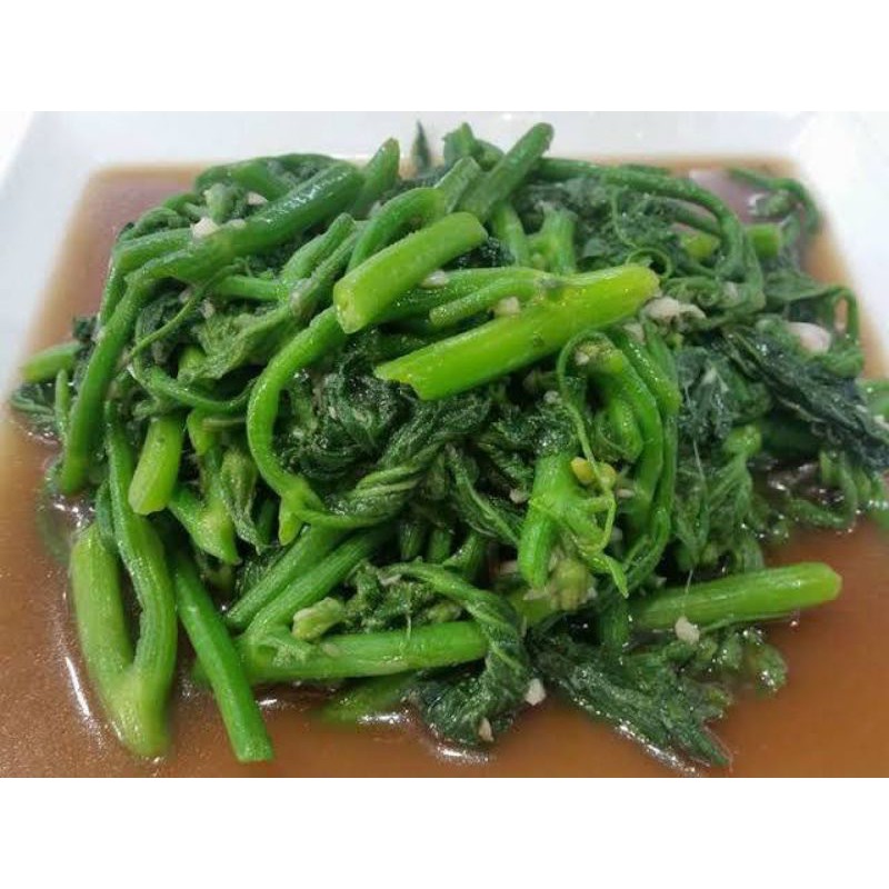 เมล็ดพันธุ์ฟักทองเก็บยอด (สำหรับเก็บยอดโดยเฉพาะ) - รูปที่ 6