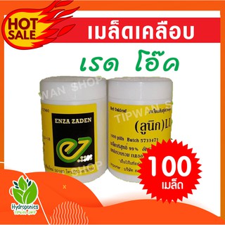 เมล็ดผักสลัด เรดโอ๊ค สายพันธุ์ลูนิก(LUNIX) แบบเคลือบ บรรจุ 100 เมล็ด