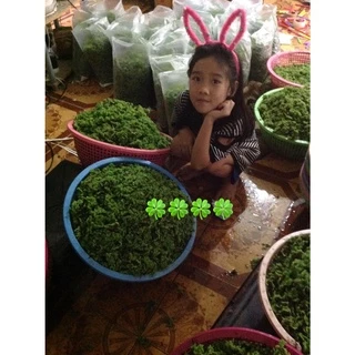 แหนแดง ไมโครฟิลล่า 🍀🍀🍀500กรัม28บาท🍀🍀แหนแดงพันธุ์เกษตร