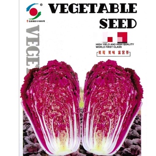 เมล็ด ผักกาดม่วง F1 ( Purple Chinese Cabbage Seed ) บรรจุ 200 เมล็ด