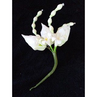 ทัดหู ดอกไม้ติดผมสีขาว ดอกไม้ประดับผม