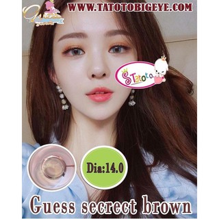 guesssectrect Brown TATOTO Contact Lenses  บิ๊กอาย #20