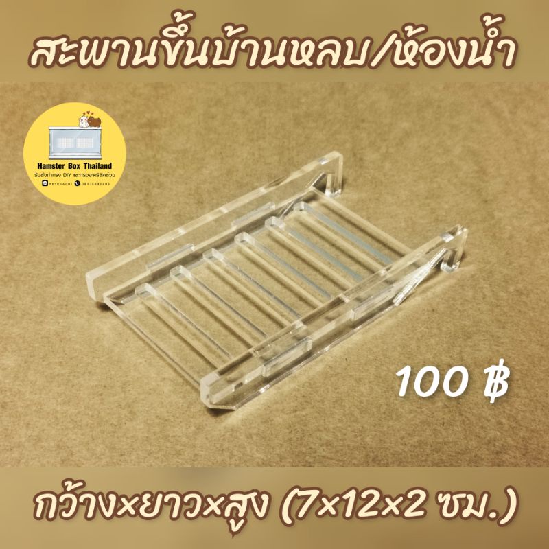 บันไดแฮมสเตอร์ มี 3 ขนาดเลือกได้