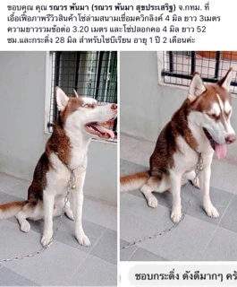 โซ่ล่ามสุนัข สแตนเลสแท้304โดนน้ำได้ไม่ขึ้นสนิม💦ไม่มีขาด‼️ขนาด 2-4 มิล โซ่หมา โซ่สุนัข โซ่จูง ใช้ได้ในบ้านและนอกบ้าน