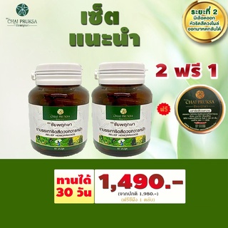 ชัยพฤกษา 2 กระปุก ฟรี ขี้ผึ้ง 1 ตลับ บรรเทาริดสีดวง ทวารหนัก ริดสีดวงภายนอก ริดสีดวงภายใน ระยะ 2