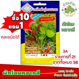 （อัตราการงอก 90%）[10แถม1] 3A เมล็ดพันธุ์ ผักโขมหลากสี 13,000 เมล็ด กินดี มีประโยชน์ต่อสุขภาพ /เมล็ด ผัก ปลูก สวนครัว คละ