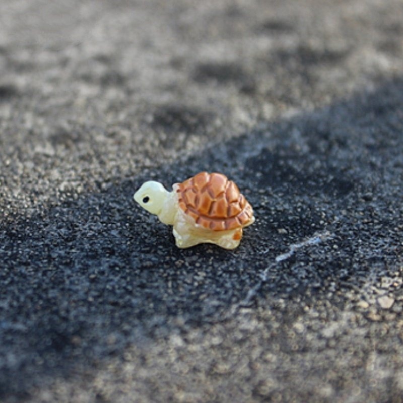 โมเดลเต่า ขนาดเล็ก สําหรับตกแต่งสวน 6 ชิ้น - รูปที่ 4