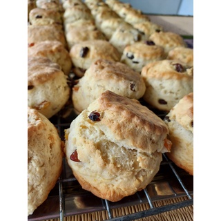 สโคน (4 English Fruit Scones) รสเนย แบบ 4 ชิ้น ฉ่ำเนย เนื้อร่วน หนึบและ นุ่มลิ้น อบสดใหม่ ใช้เนยแท้ ไม่มีไขมันทรานส์ ทาน