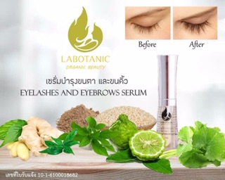 LABOTANIC เซรั่มขนตาและขนคิ้ว