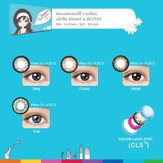 ส่งฟรี | Your Lens | Maxim สีตาสวย กล่องฟ้า/รายเดือน