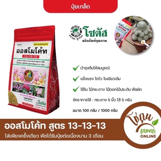 ออสไมโค้ท 13-13-13 ขนาด 100 กรัม โซตัส สูตรบำรุงต้นสมบูรณ์ สูตร3เดือน